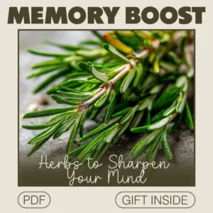 Memory Boost Checklist: Herbs to Sharpen Your Mind – Enhance Focus, Clarity & Mental Power