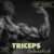Triceps Unleashed: Digital Workout Guide | Maximize Arm Gains with Proven Tricep Workouts